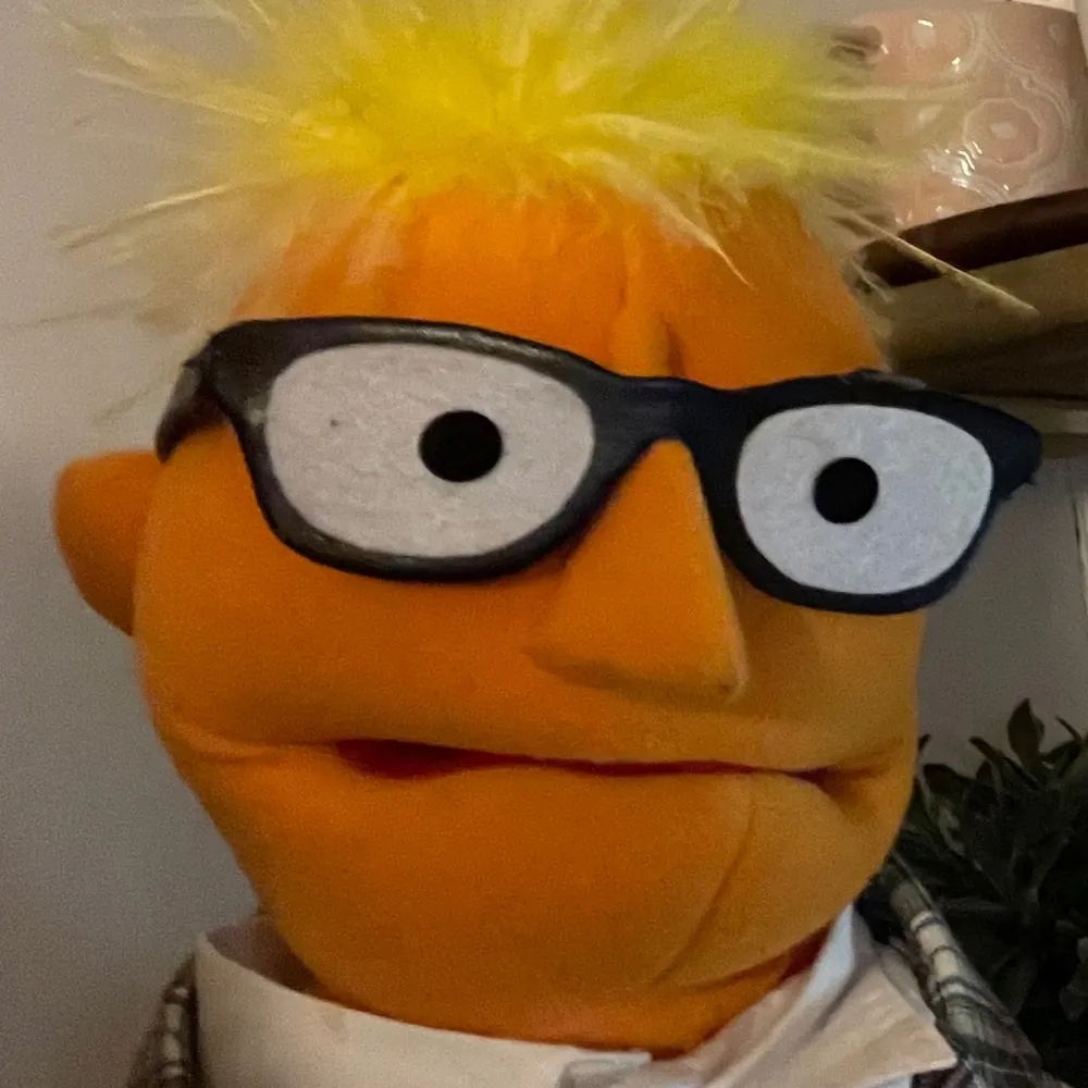 garymuppet.bsky.social's profile picture