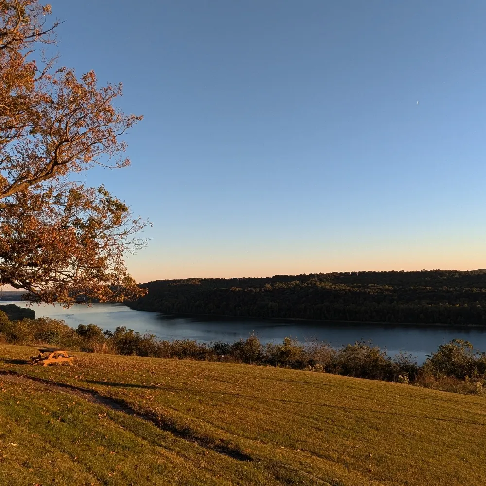 nmatthews.bsky.social's profile picture