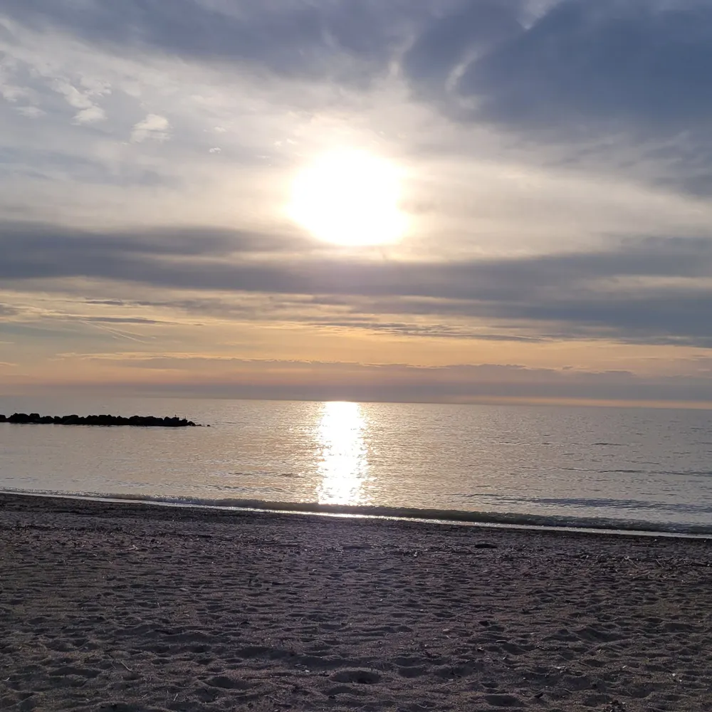 compliancedivision.bsky.social's profile picture