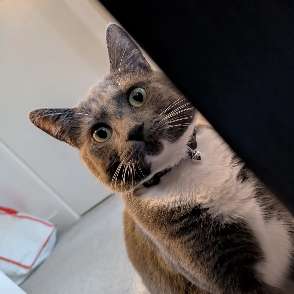 breadbeardbrad.bsky.social's profile picture