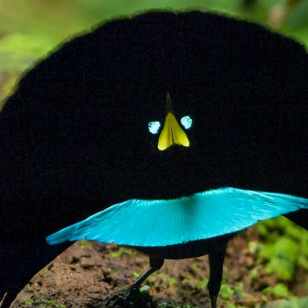 alexpontikas.bsky.social's profile picture