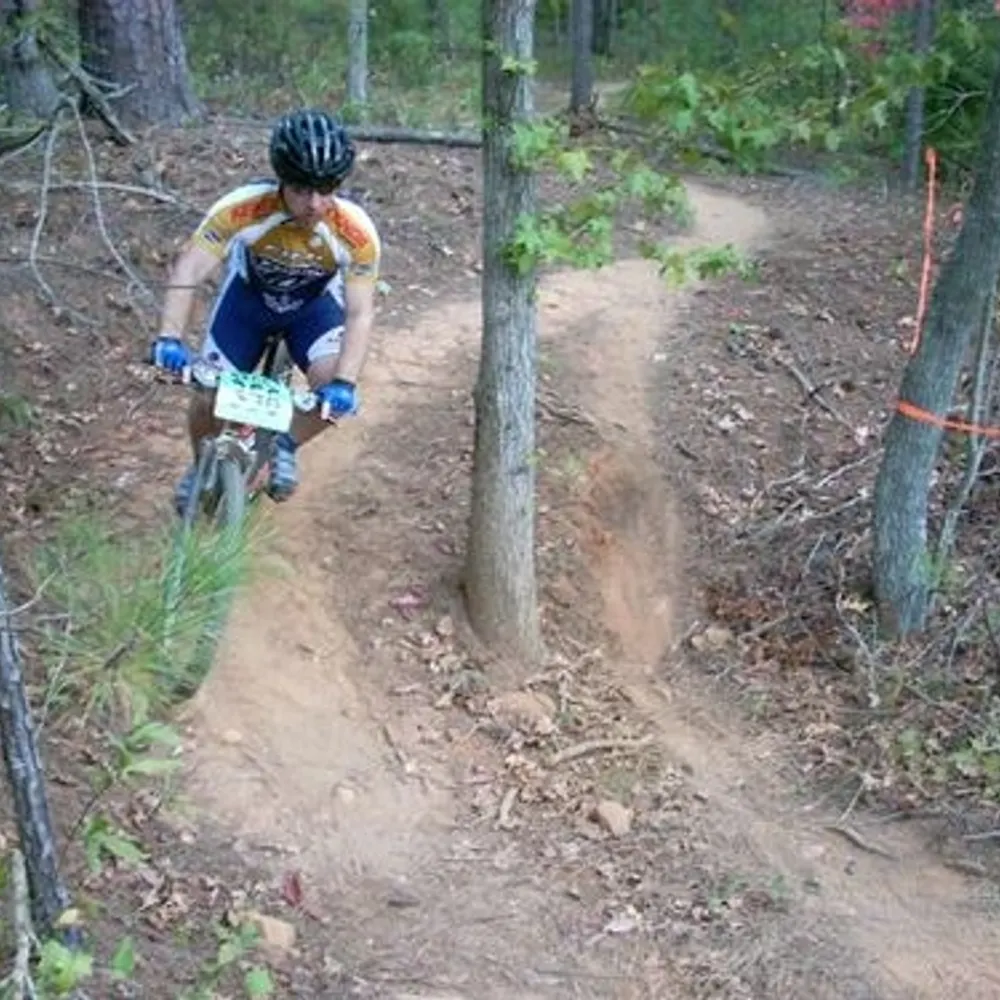 alexatt.bsky.social's profile picture