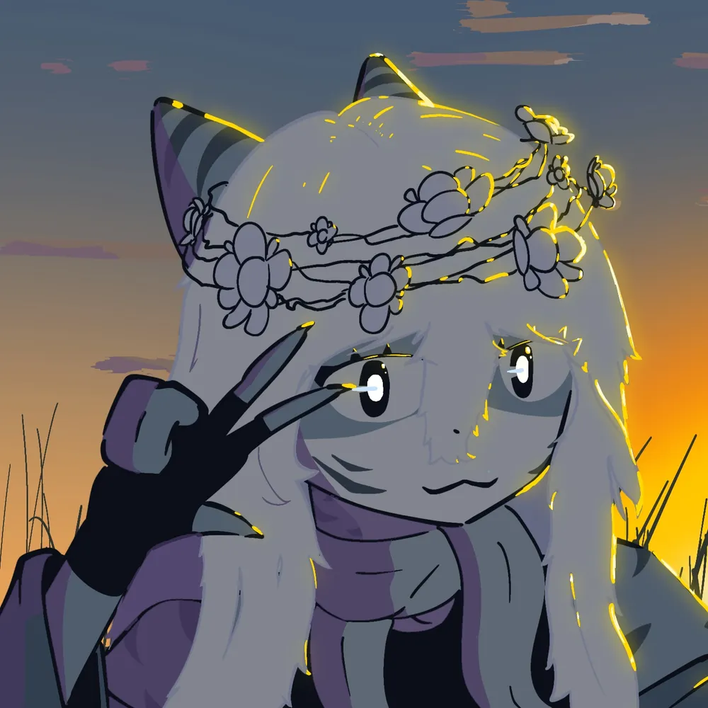 collso13.bsky.social's profile picture