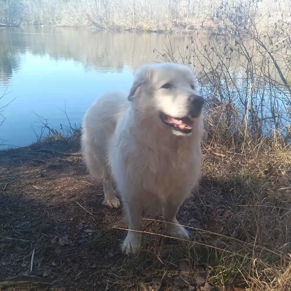 redg187.bsky.social's profile picture