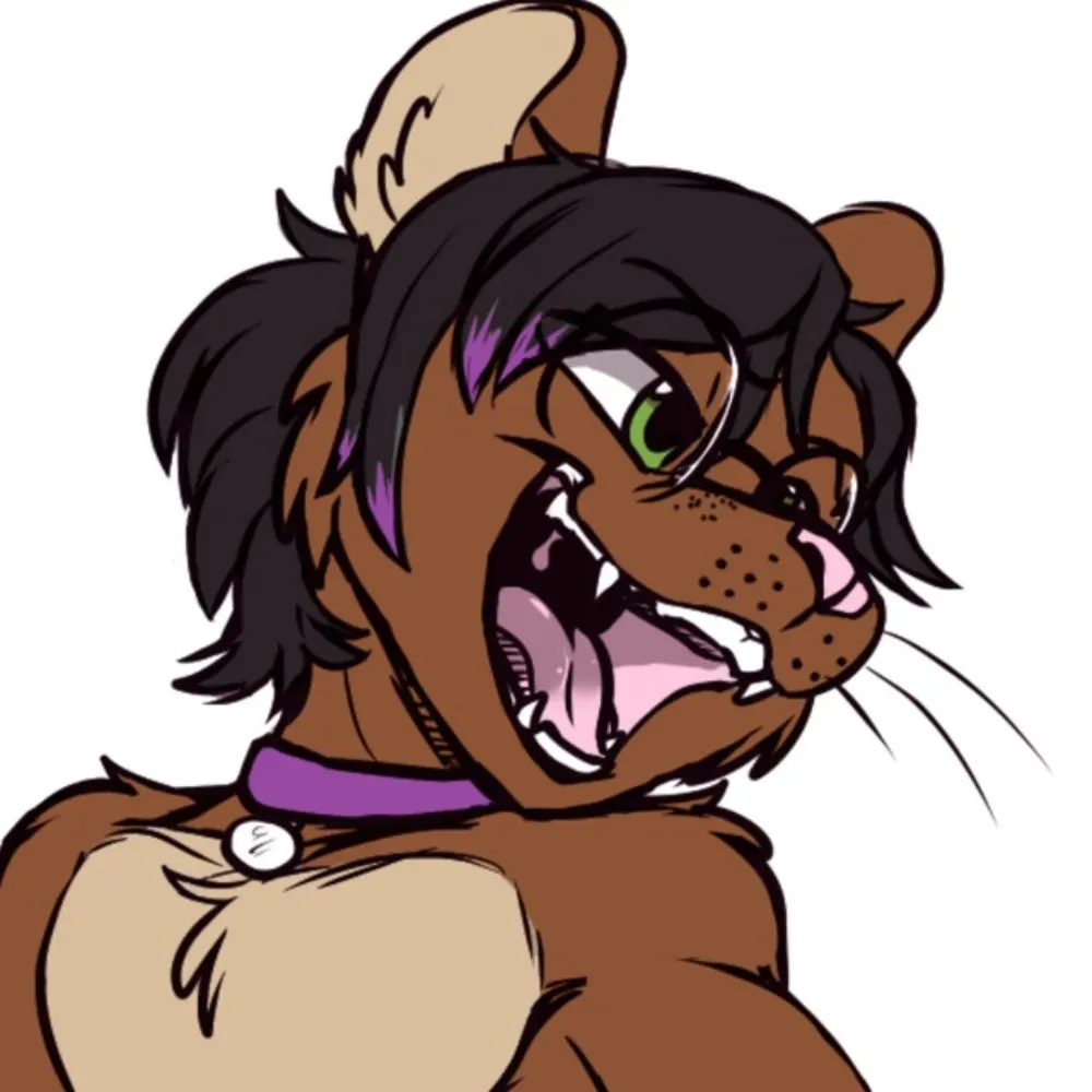 snowyfurrkat.bsky.social's profile picture