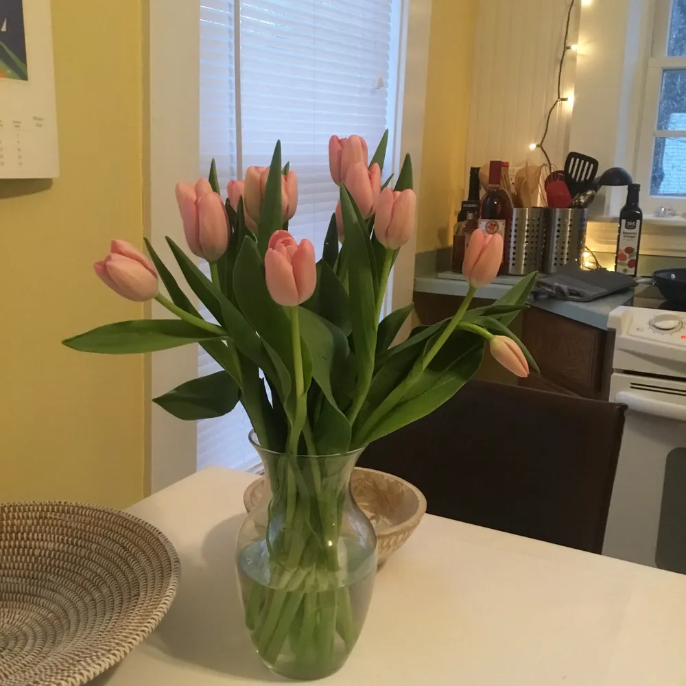 mel-33.bsky.social's profile picture