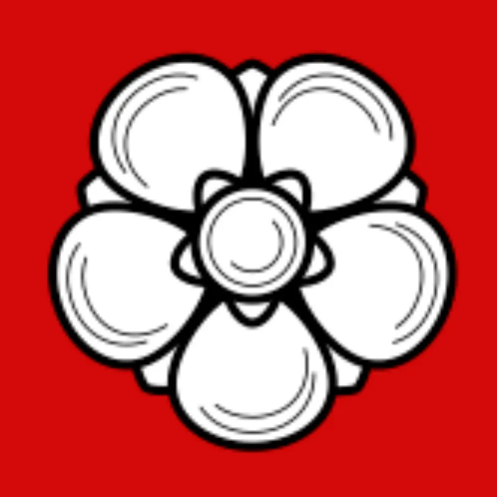 katajat.bsky.social's profile picture