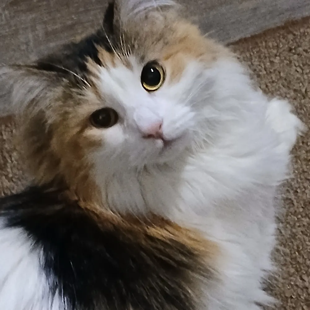 kty38.bsky.social's profile picture