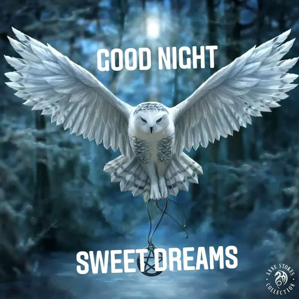 lindyloo22.bsky.social's profile picture