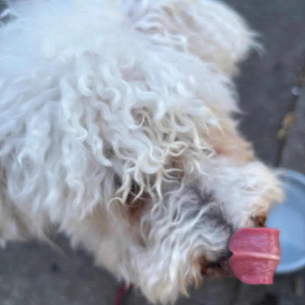 infinitelives.bsky.social's profile picture