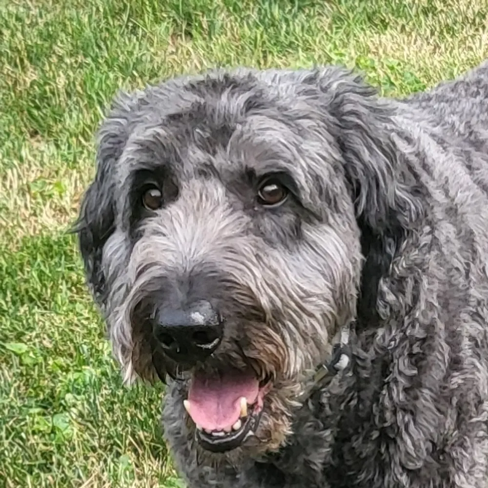 mattmt.bsky.social's profile picture