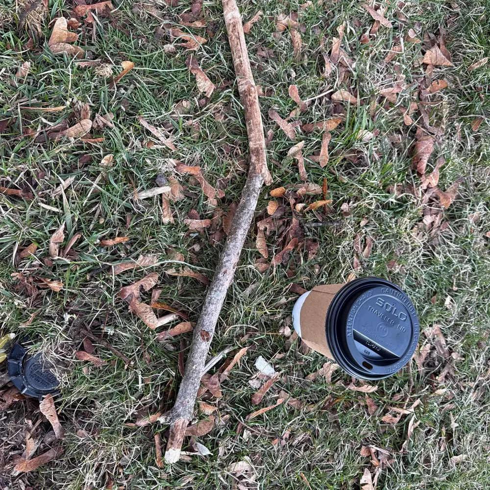 airbagmoments.bsky.social's profile picture