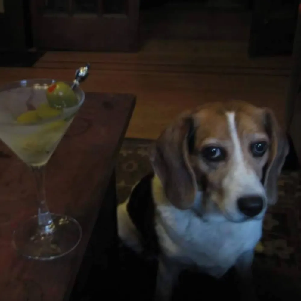 andymacmillan.bsky.social's profile picture