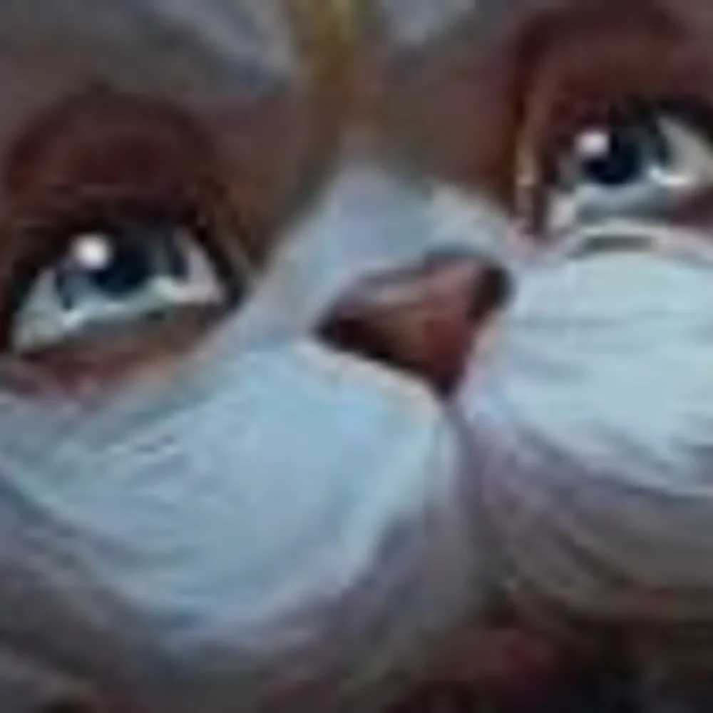 totoole.bsky.social's profile picture