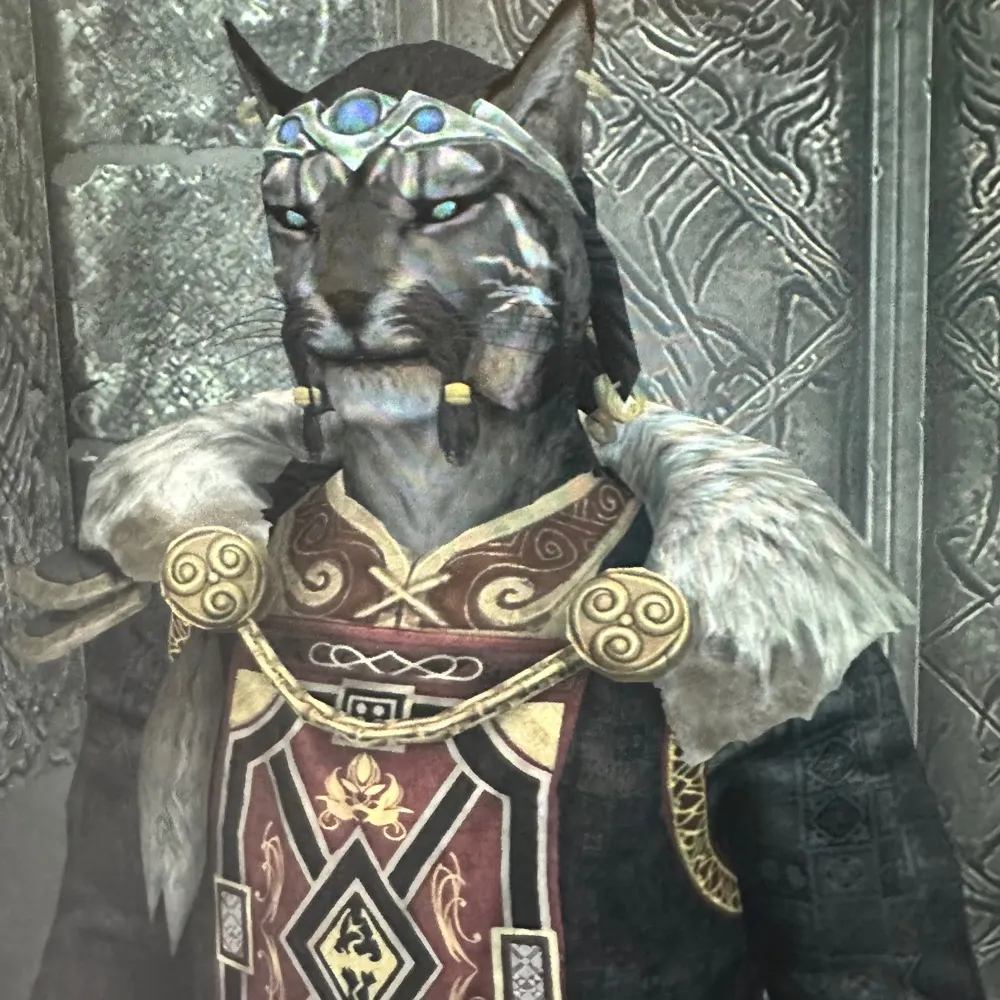 kottaswagkat.bsky.social's profile picture