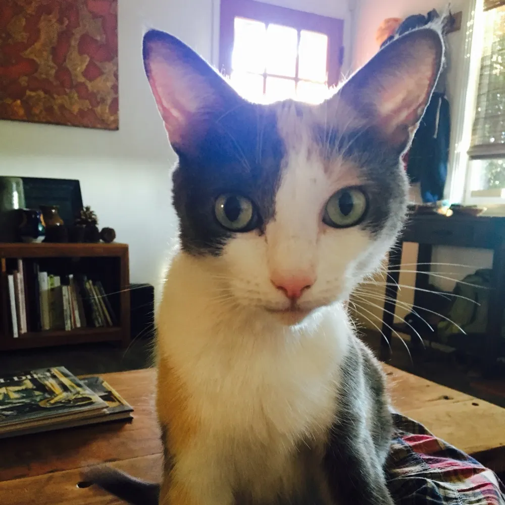 ericblyler.bsky.social's profile picture