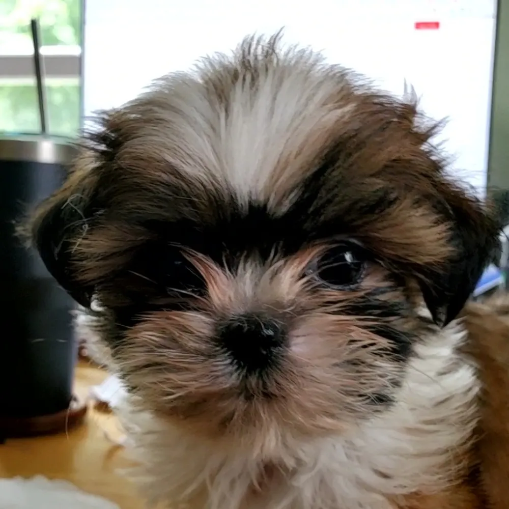 mhathaway.bsky.social's profile picture