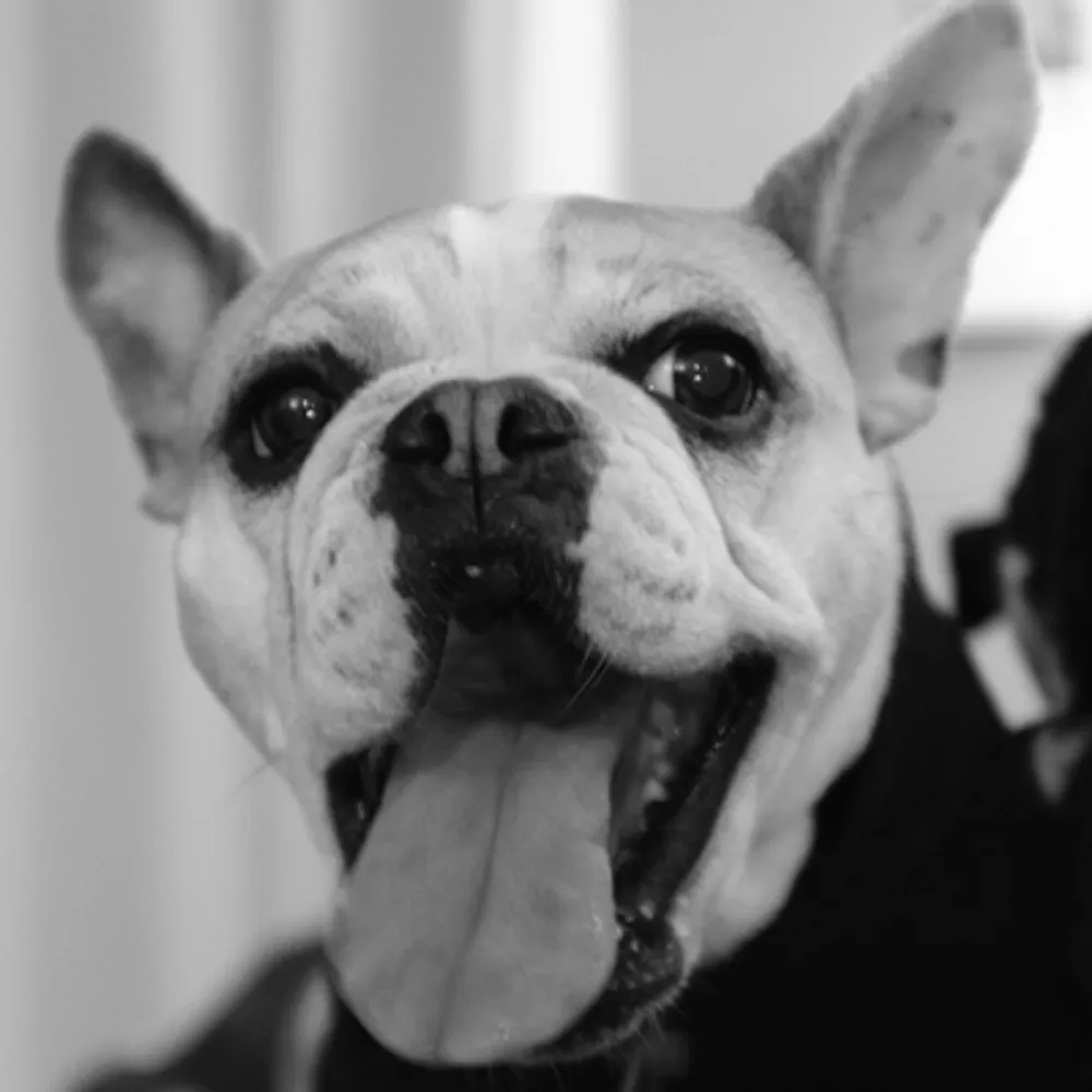 shanafin.bsky.social's profile picture