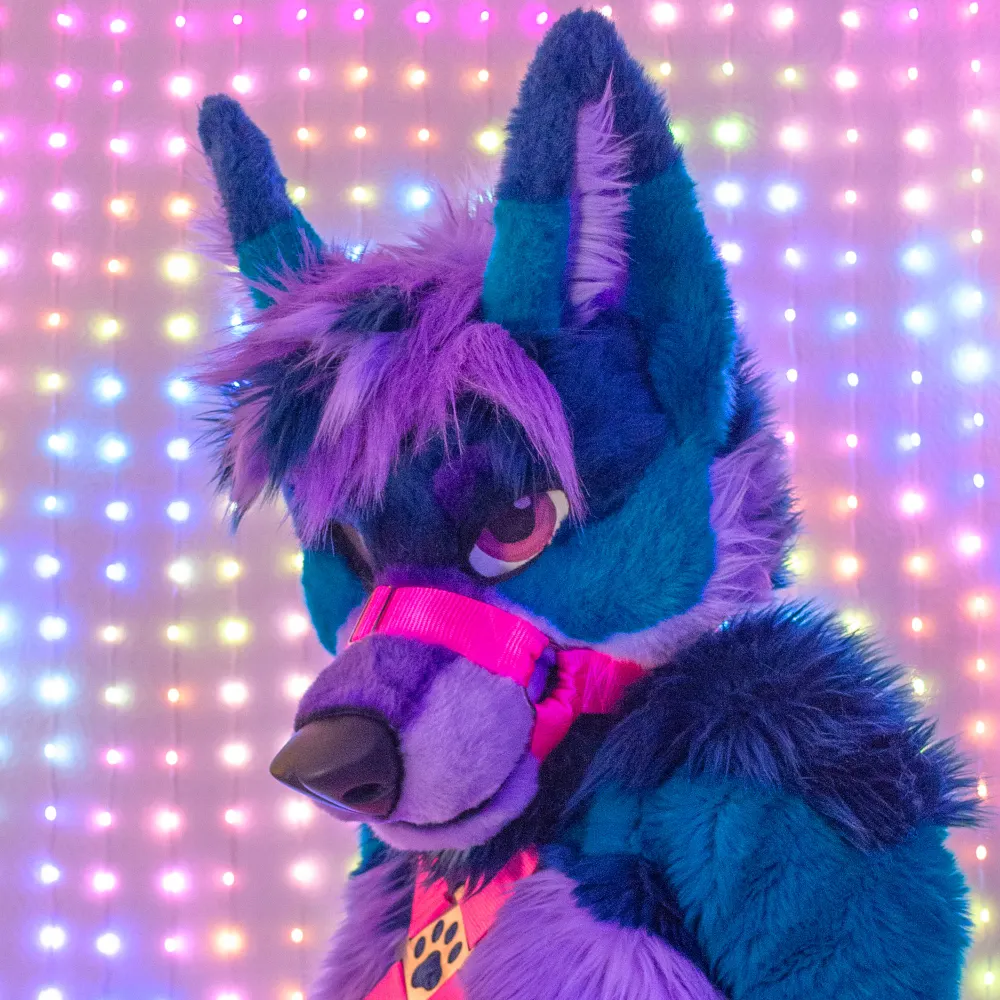 evwuff.tail.exposed's profile picture