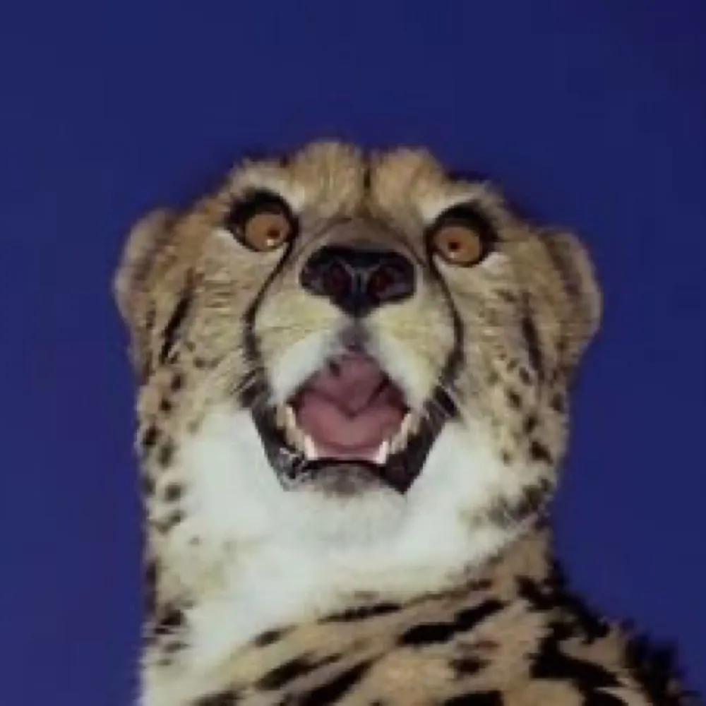 wanderest.bsky.social's profile picture