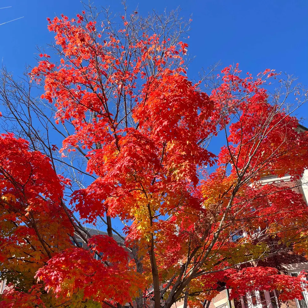 ofsevit.bsky.social's profile picture