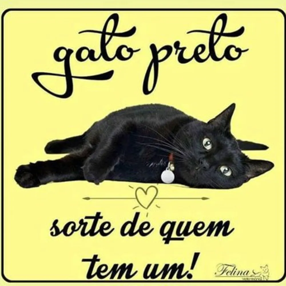 xenotar.bsky.social's profile picture