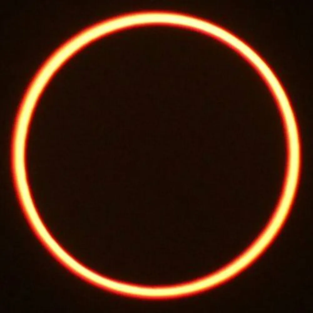 vir-innominatum.bsky.social's profile picture