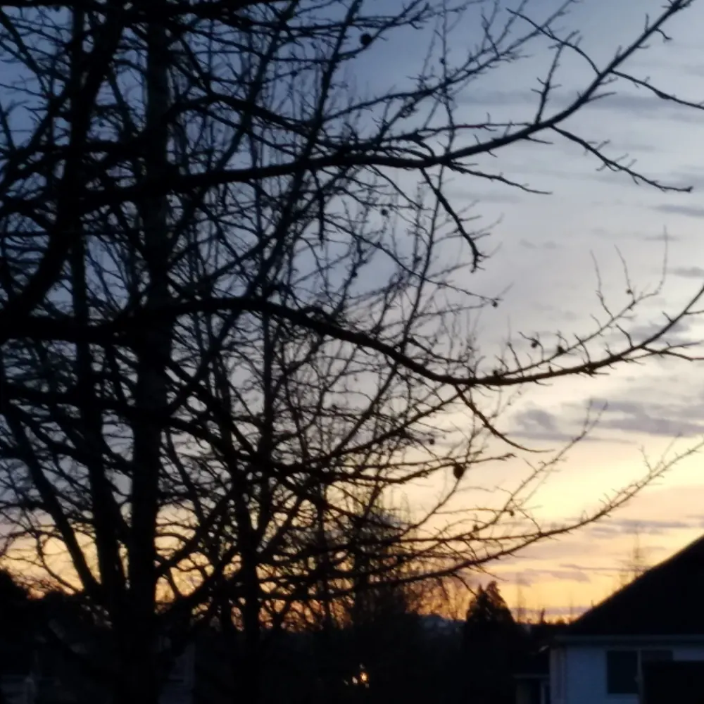 inthebardo.bsky.social's profile picture