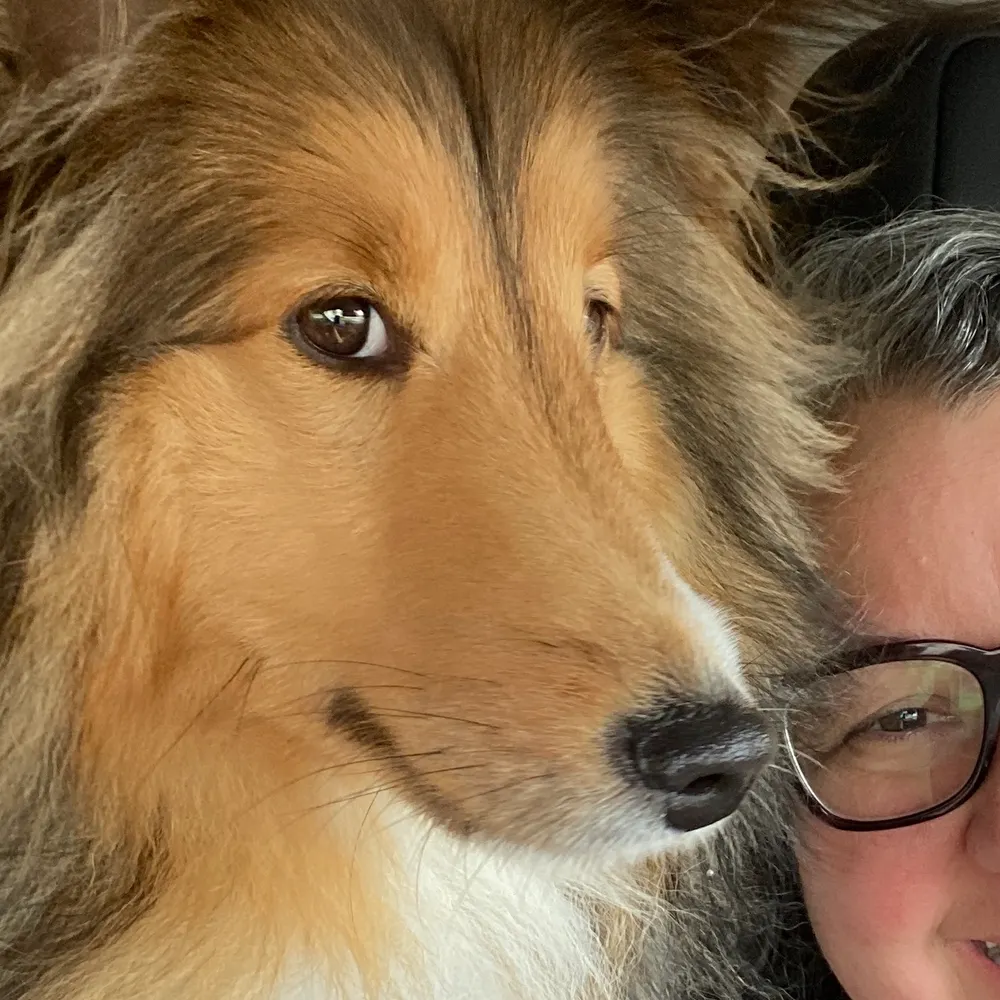 mexhistorian.bsky.social's profile picture