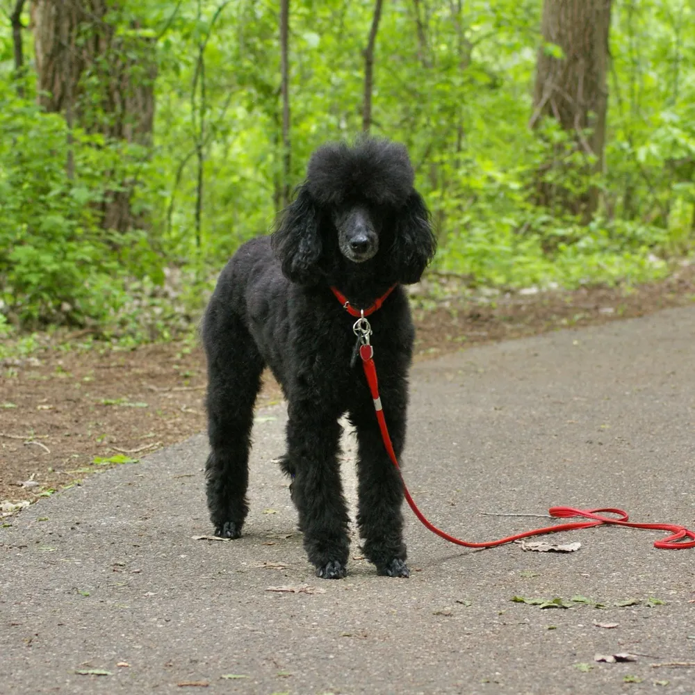 govitasadventures.bsky.social's profile picture