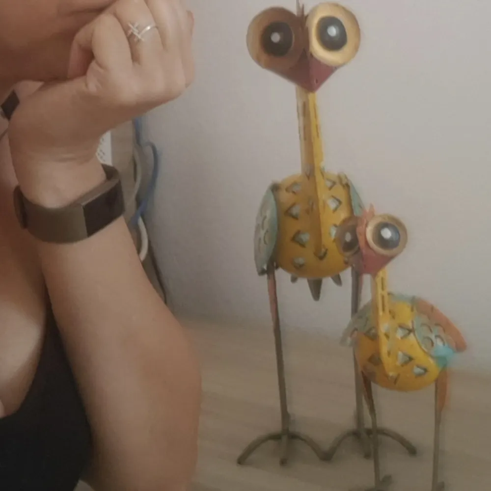 havishaf.bsky.social's profile picture