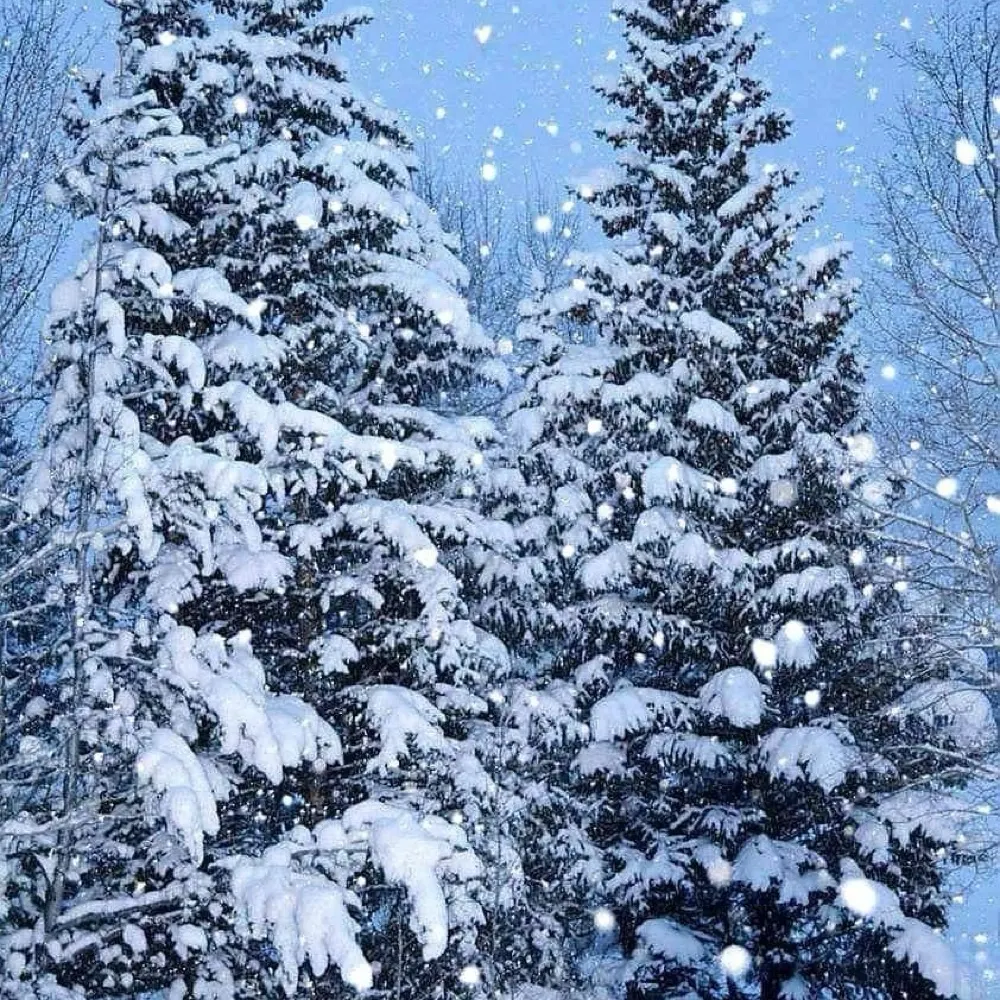 dukeey.bsky.social's profile picture