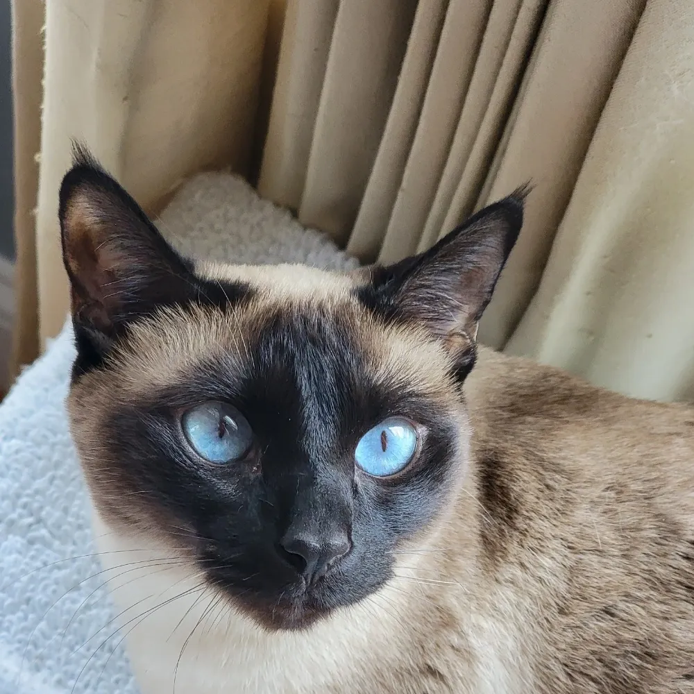 lilyscott.bsky.social's profile picture