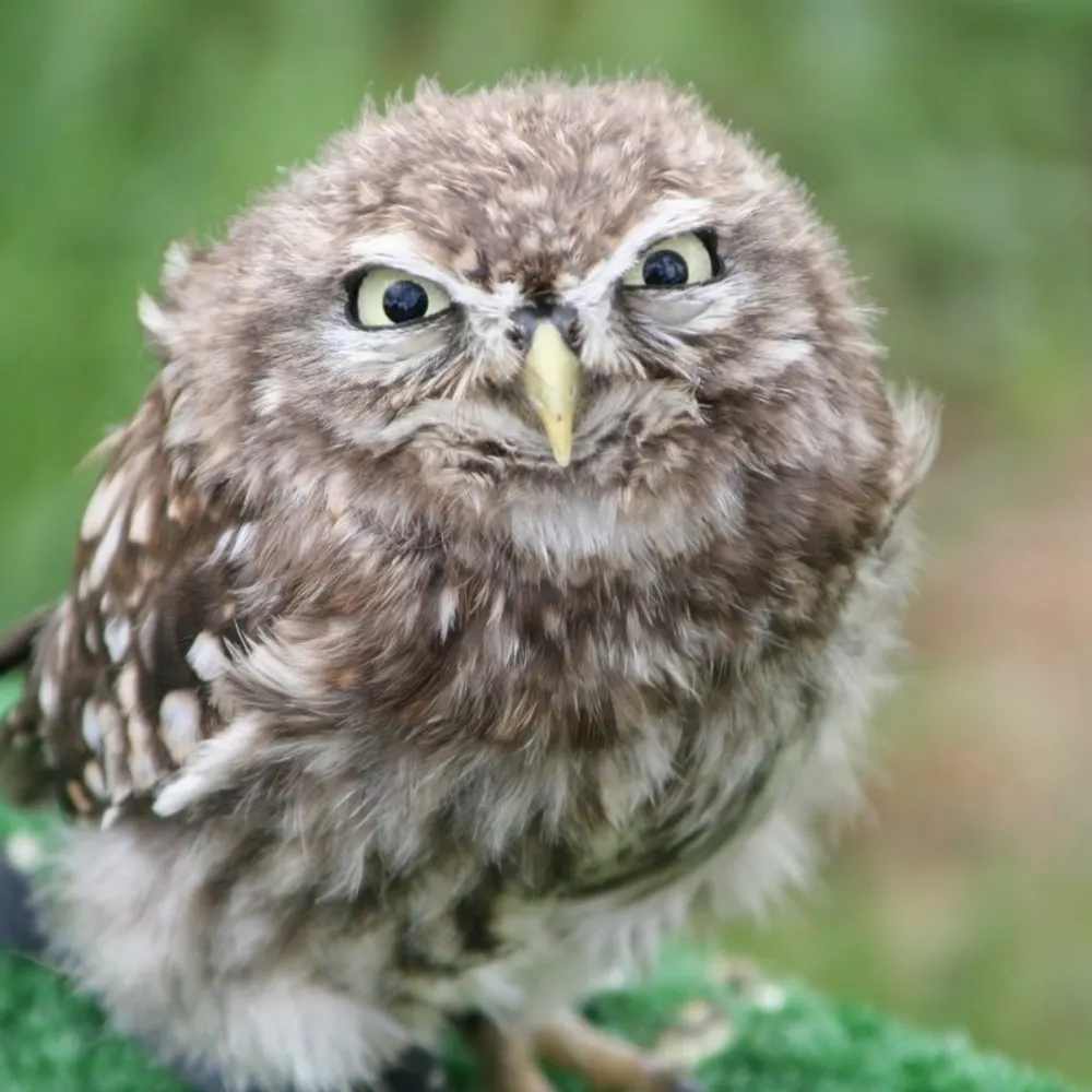 wojtek.be's profile picture