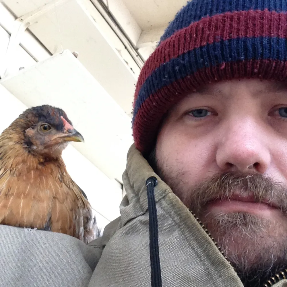 chetgresham.bsky.social's profile picture