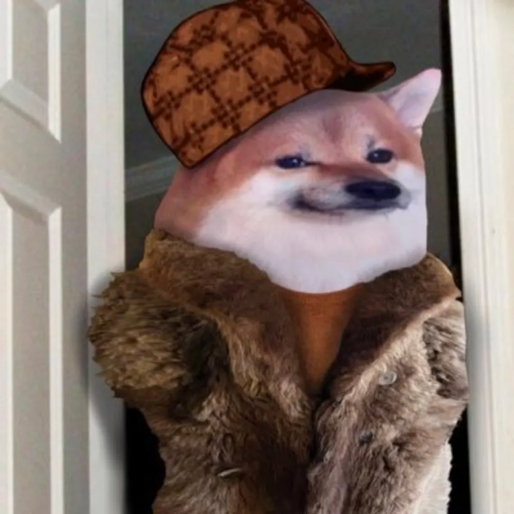 thehillshaveayes.bsky.social's profile picture