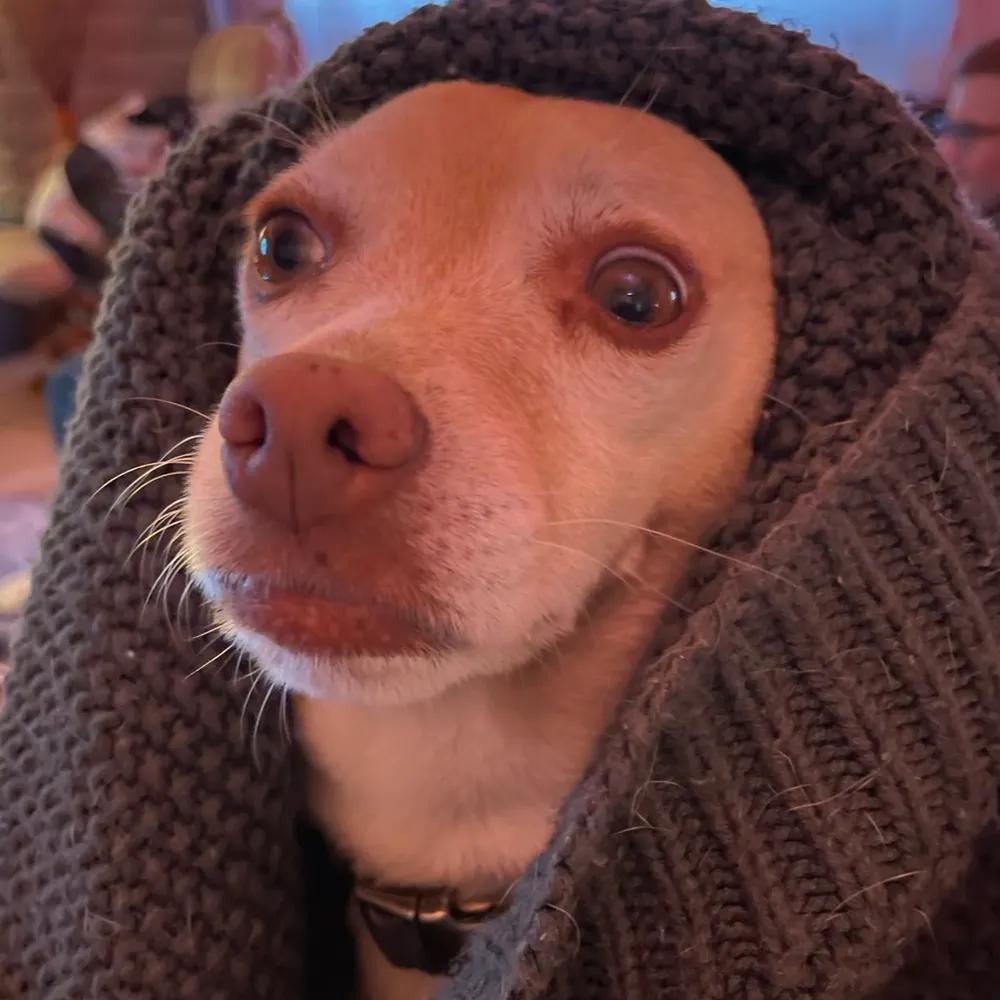 gbsooner.bsky.social's profile picture