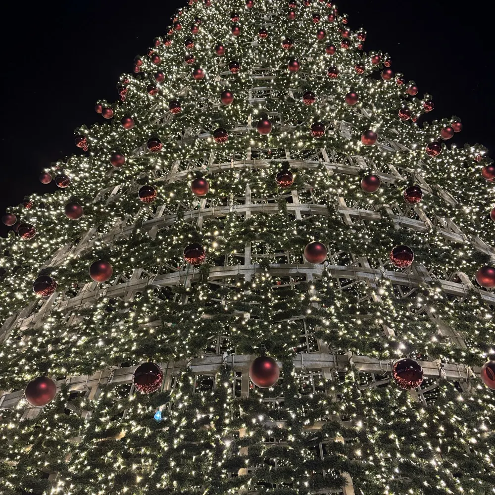 mptravels.bsky.social's profile picture