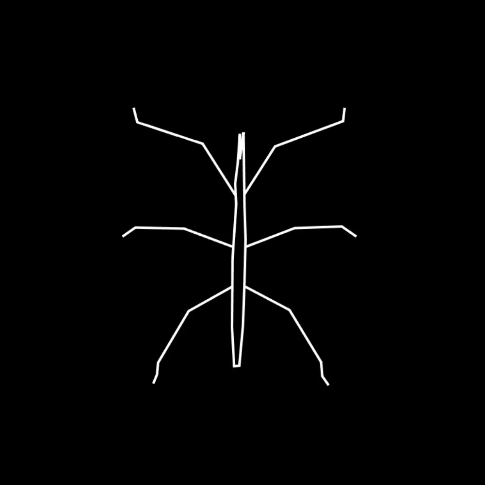 phasmatic.bsky.social's profile picture