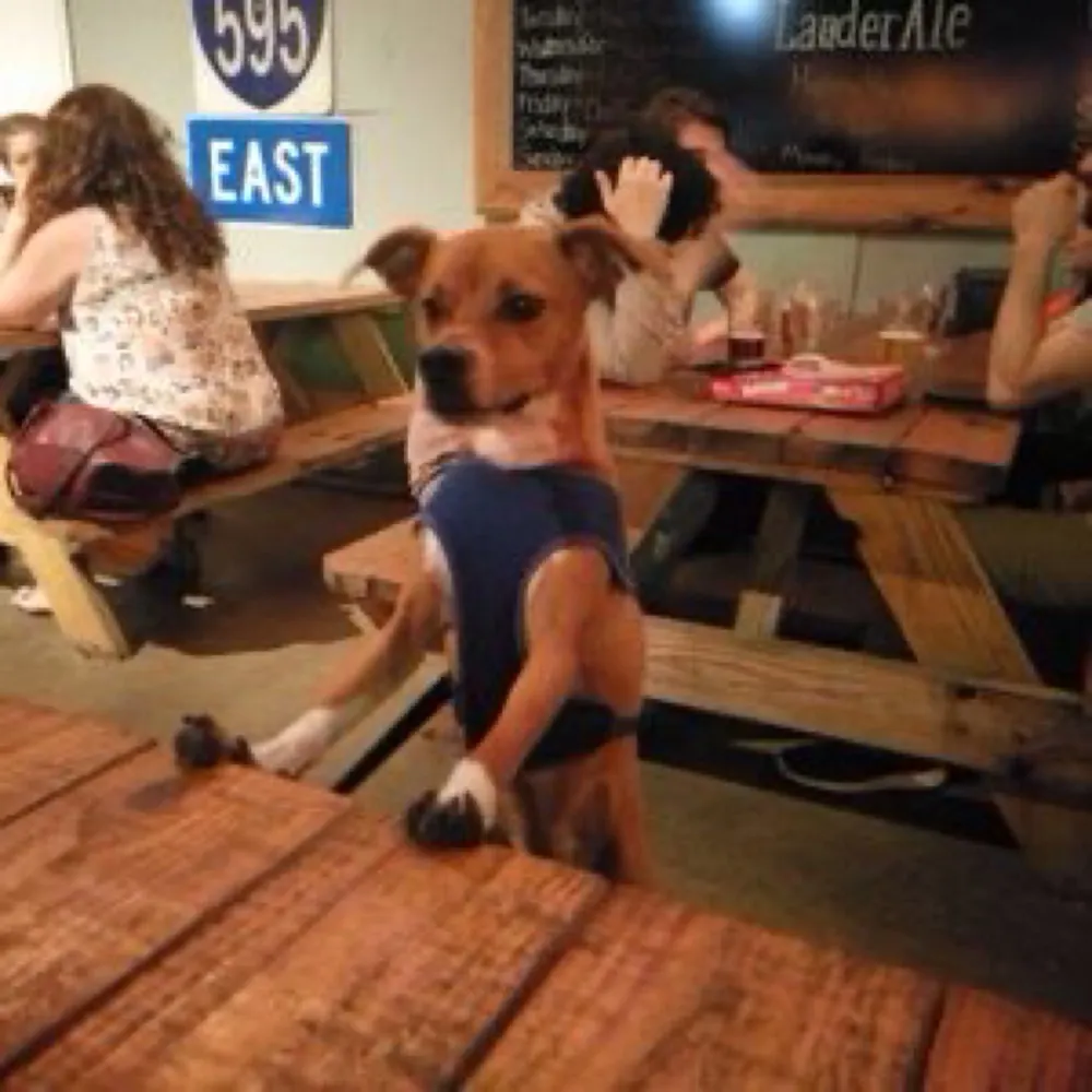 motownmama22.bsky.social's profile picture