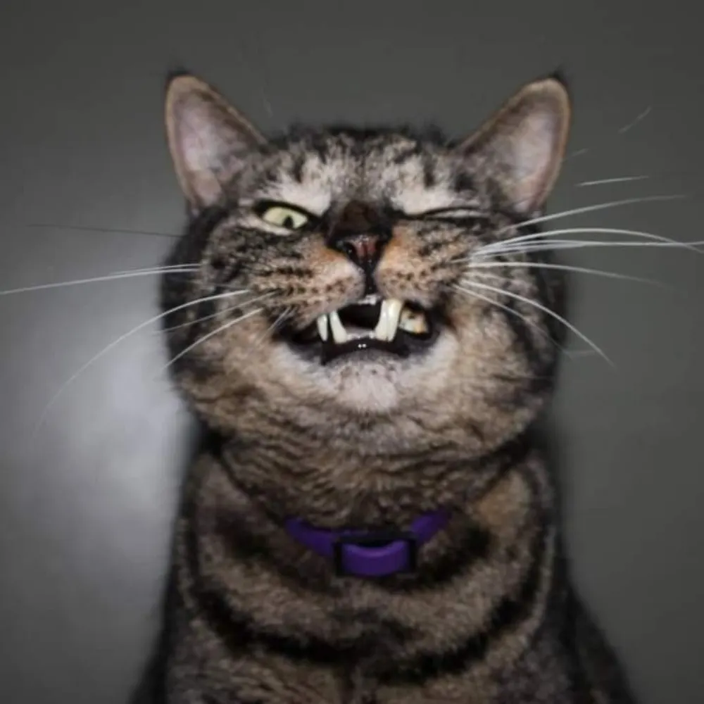 ondma.com's profile picture