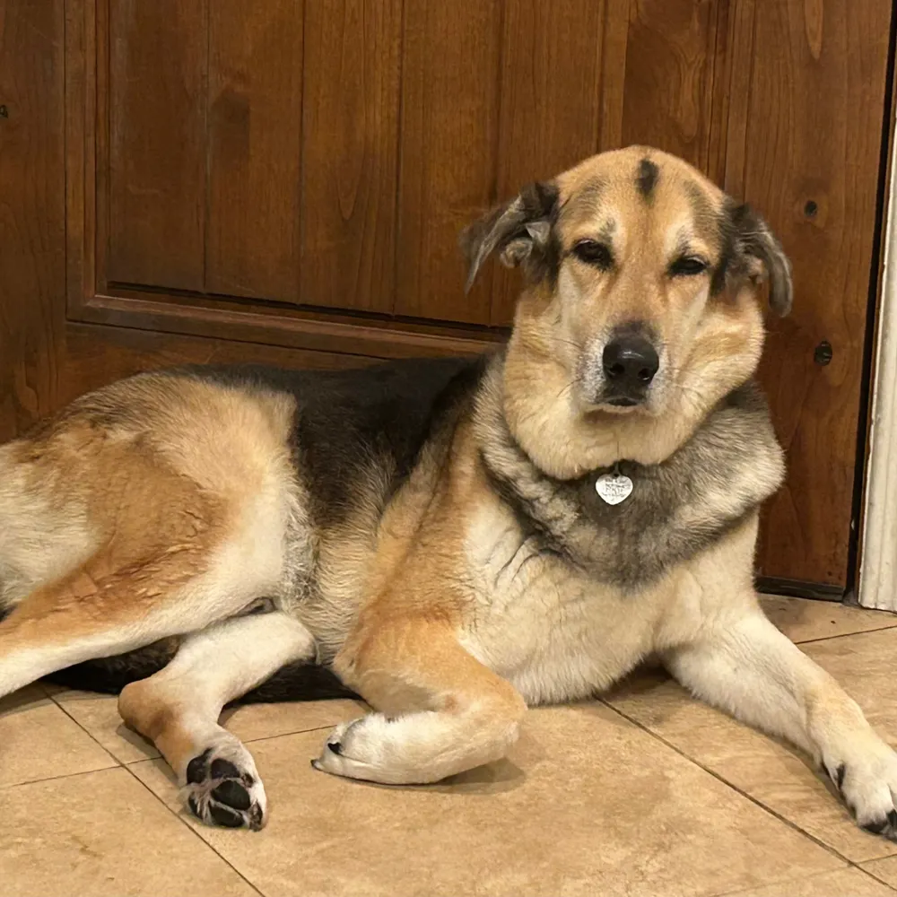 iccooler.bsky.social's profile picture