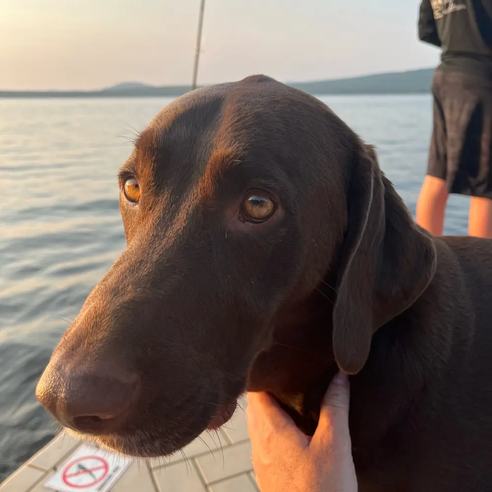 mgnpaul.bsky.social's profile picture