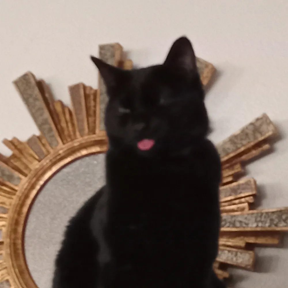 casualeater.bsky.social's profile picture