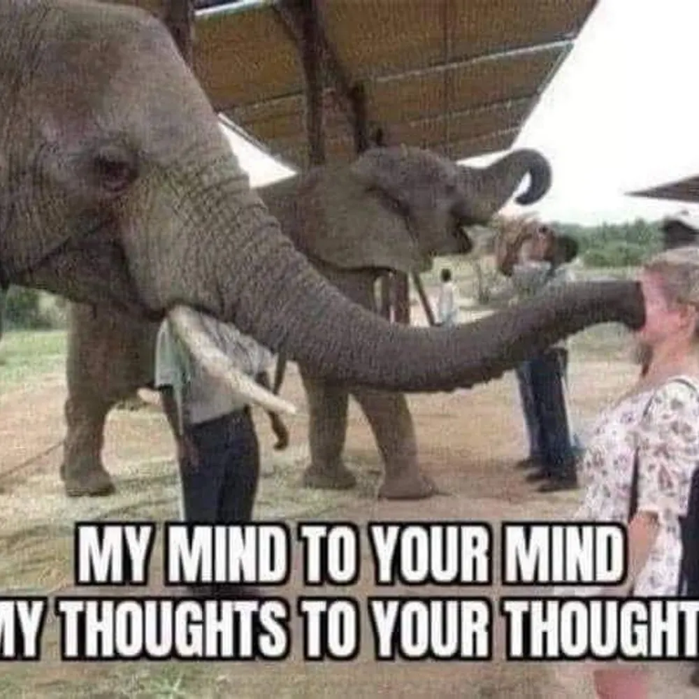 michaelweis89.bsky.social's profile picture