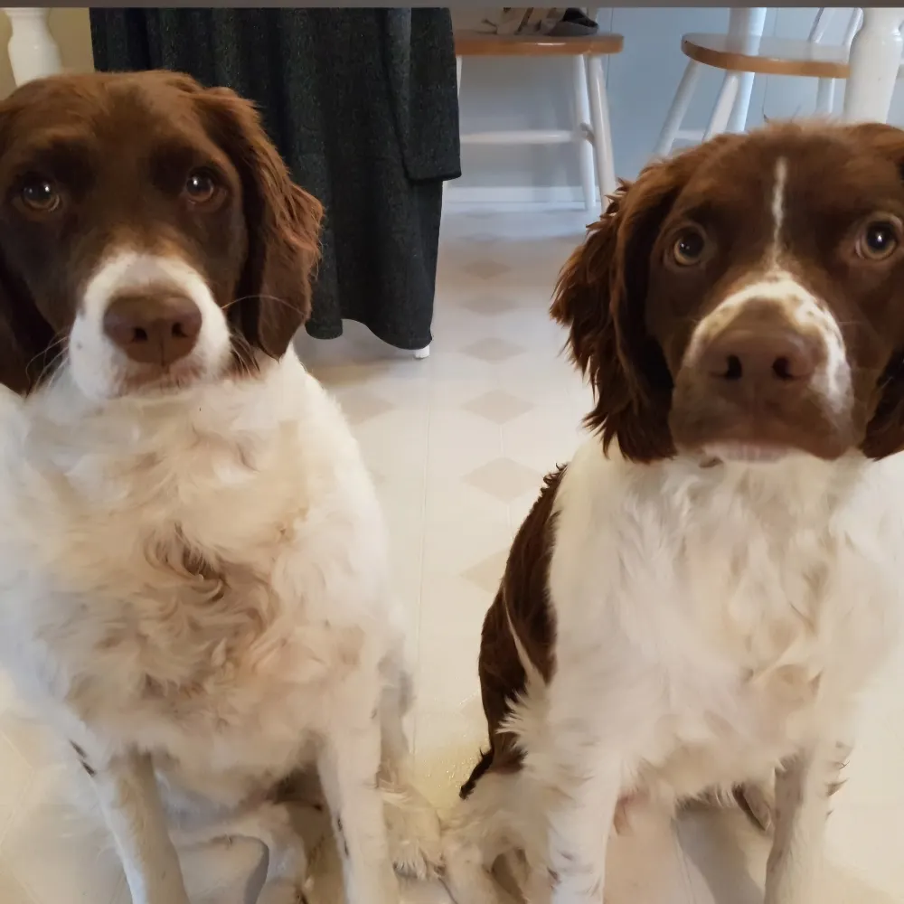 lakefrontdaisy1.bsky.social's profile picture