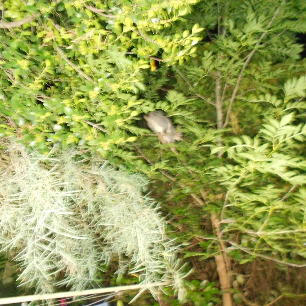 marilynjs.bsky.social's profile picture