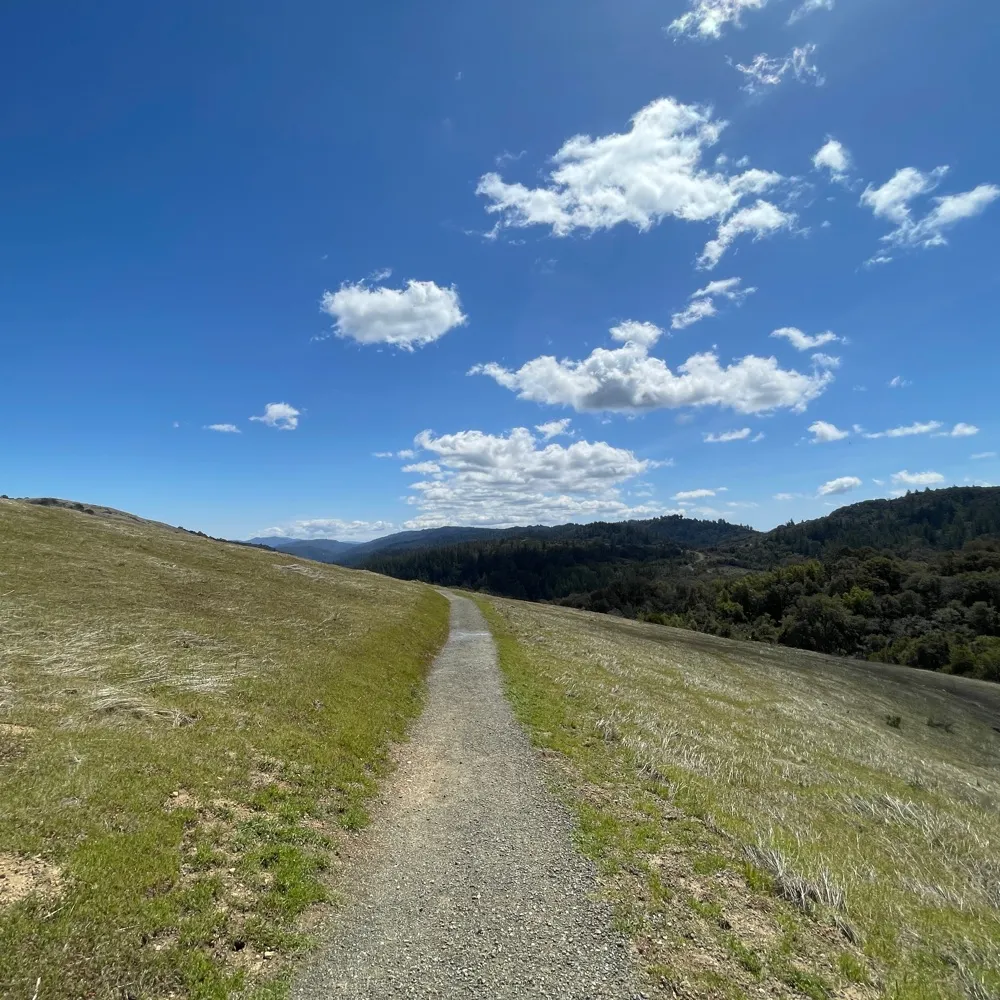 lguap0.bsky.social's profile picture