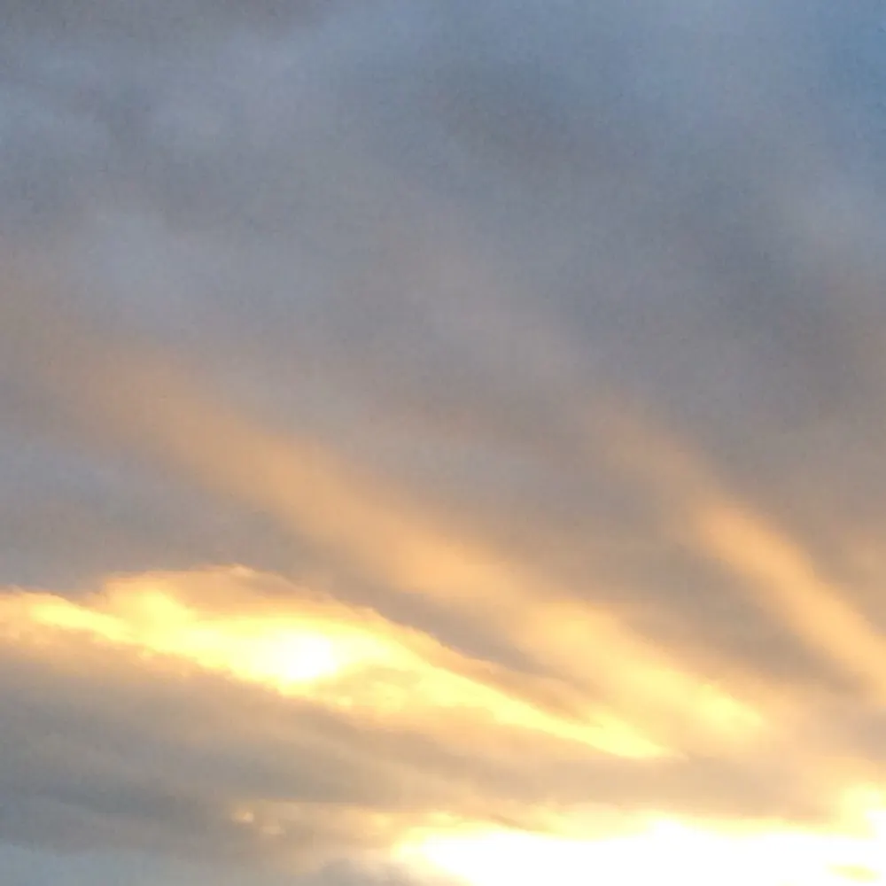 stephenstillwell.bsky.social's profile picture