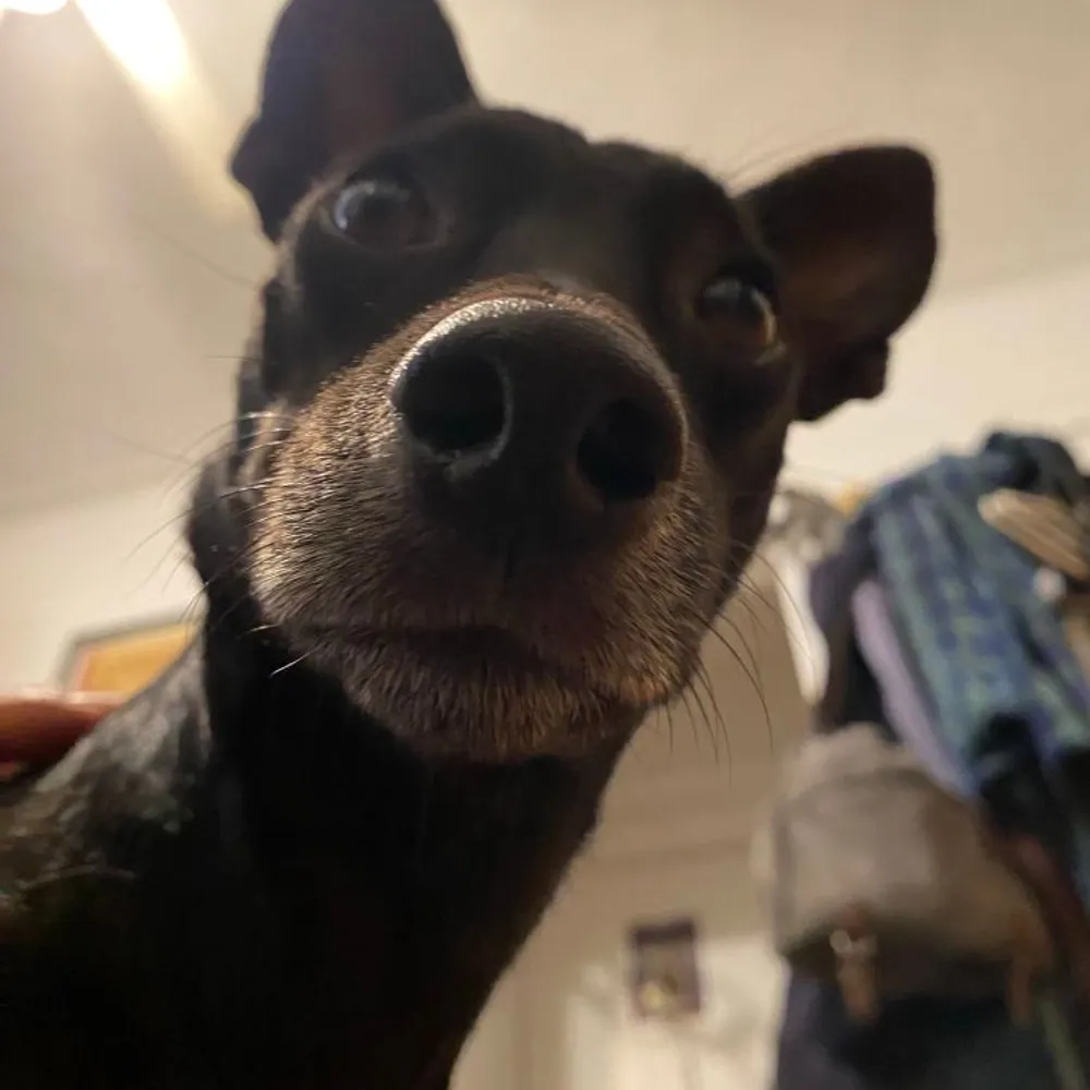 formergregsamsa.bsky.social's profile picture